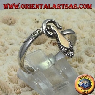Anillo en serpiente de plata con una placa de oro sobre la cabeza