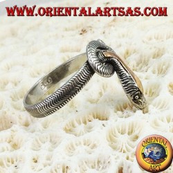 Full snake silver ring with gold plate above the head