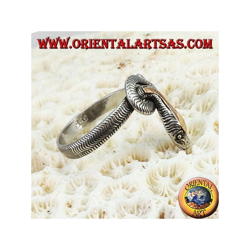 Anillo de plata en forma de una serpiente entera con una placa dorada sobre la cabeza