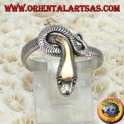 Anillo de plata en forma de una serpiente entera con una placa dorada sobre la cabeza