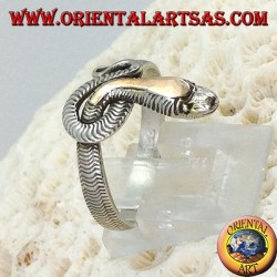 Anillo de plata en forma de una serpiente entera con una placa dorada sobre la cabeza