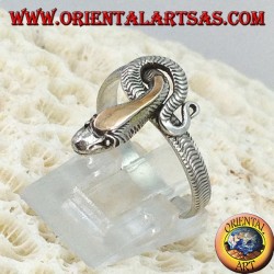 Full snake silver ring with gold plate above the head