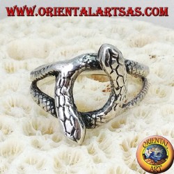 Silver ring with 2 snakes that rotate