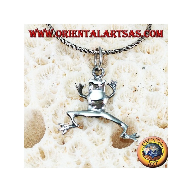 Colgante de plata de rana