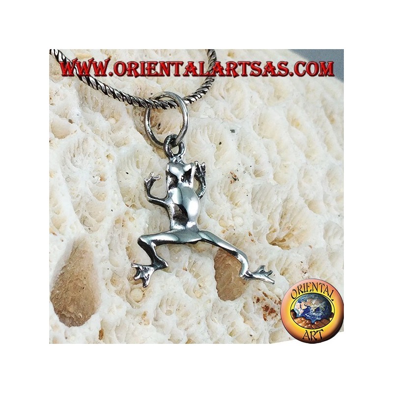 Frosch Silber Anhänger