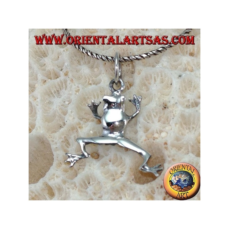 Frog silver pendant