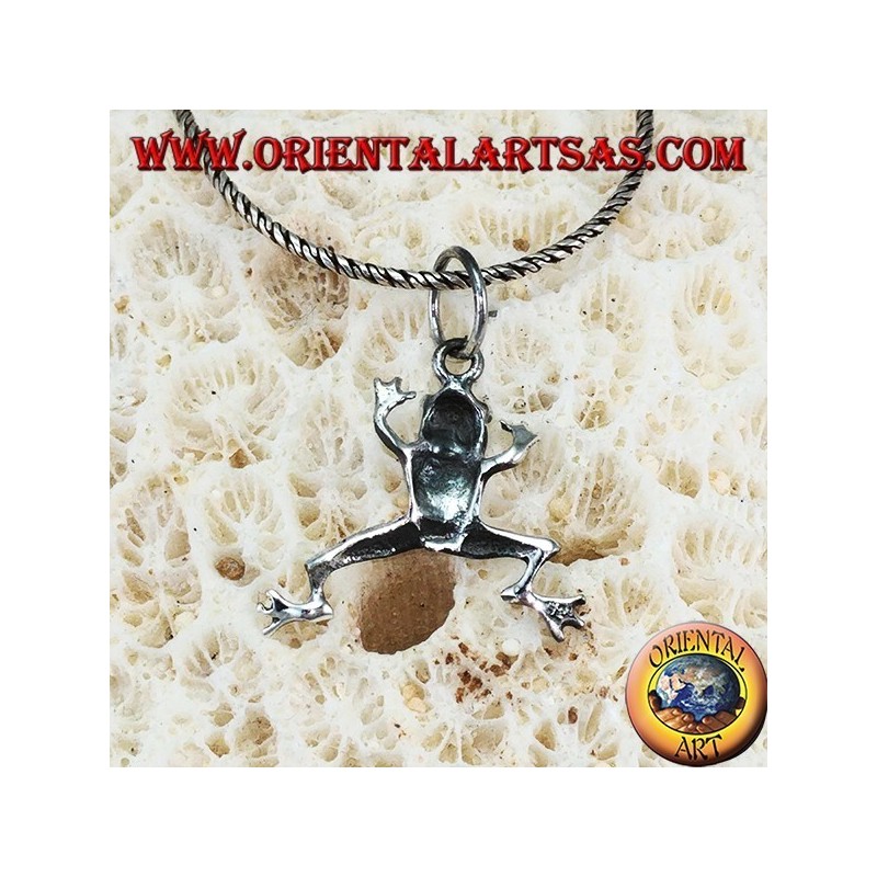 Colgante de plata de rana