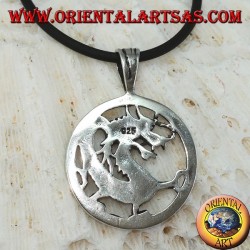 Colgante de plata, dragón en el círculo