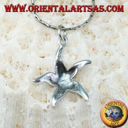 Colgante de plata, estrella de mar