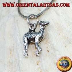 Colgante de plata Lama glama