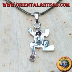 Silberanhänger der kleine Frosch (der Frosch)