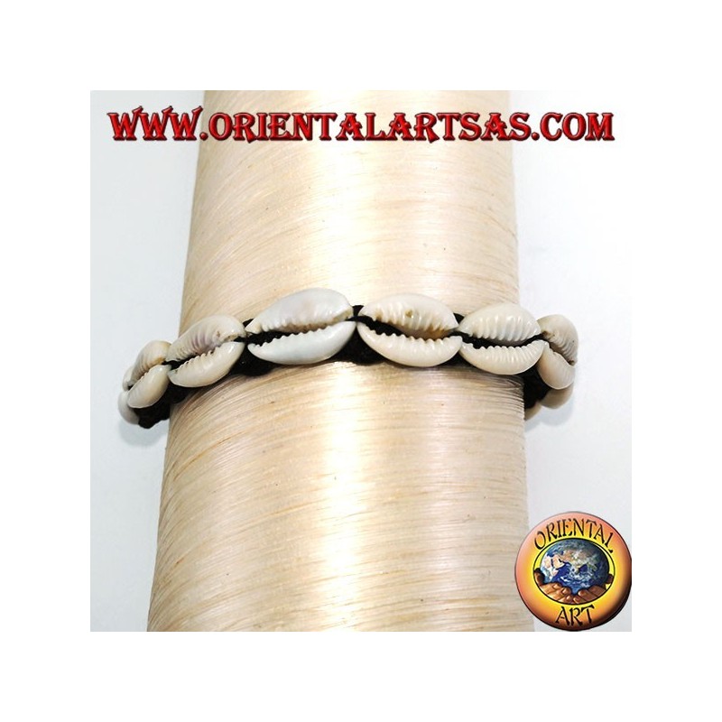 Bracelet of carea cowrie shells with analergic metal clasp