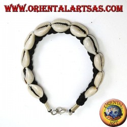 Bracelet of carea cowrie shells with analergic metal clasp
