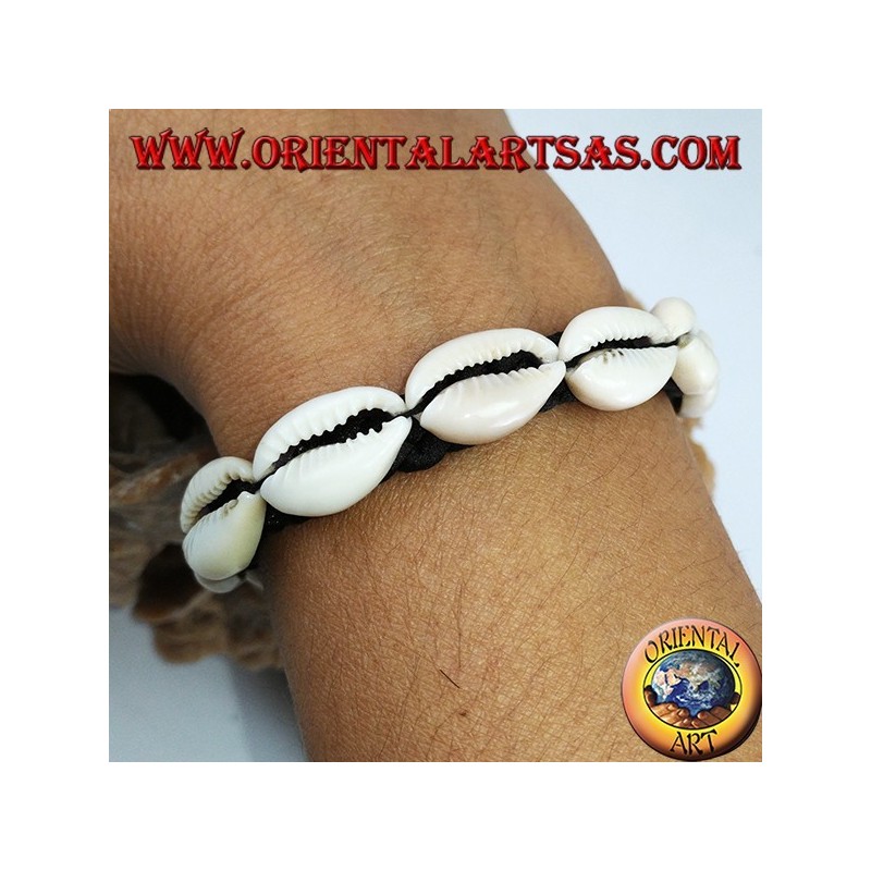Caure cowrie shells bracelet in a row