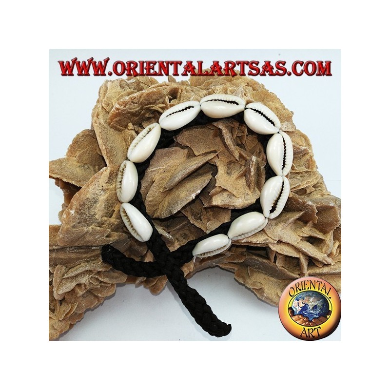 Caure cowrie shells bracelet in a row