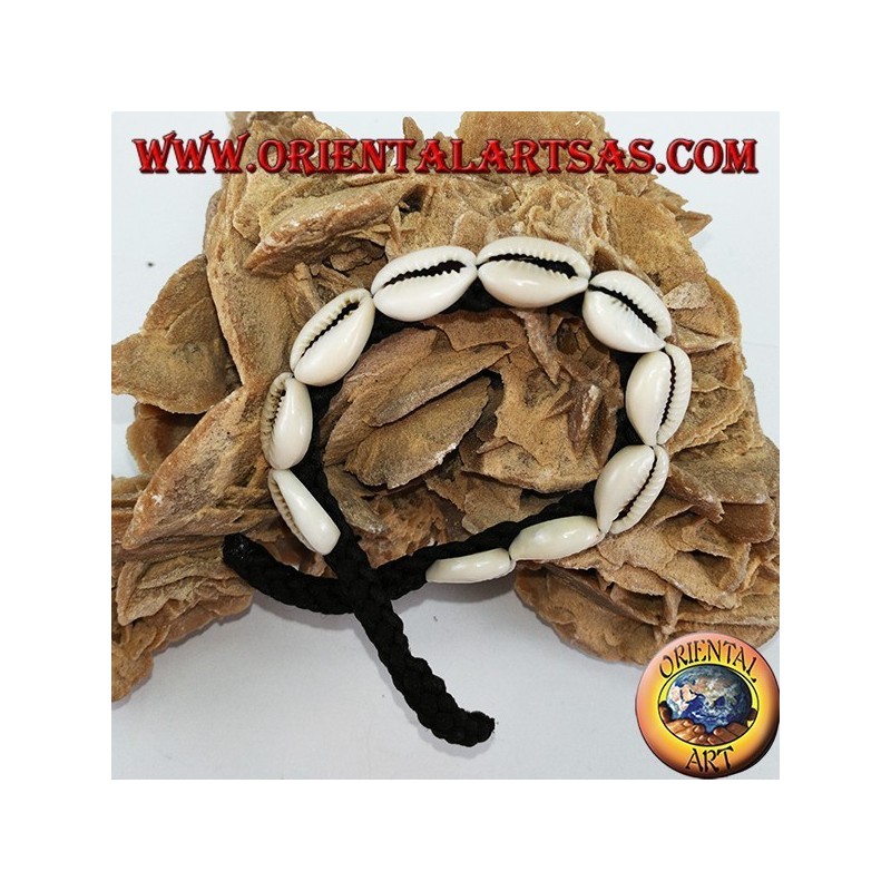 Caure cauris coquillage bracelet dans une rangée