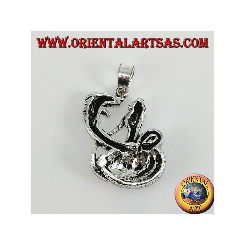 Colgante de plata domadora del dragón (grande)