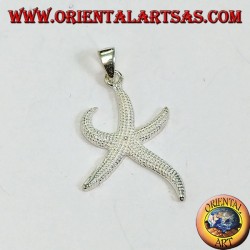 Colgante de estrella de plata (medio)