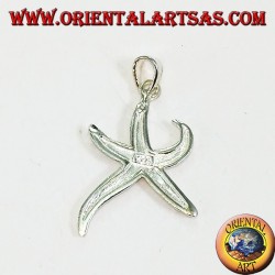 Pendentif étoile de mer en argent (moyen)