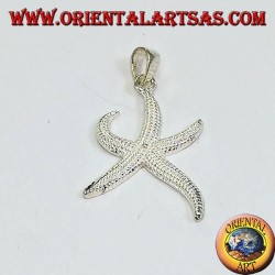 Colgante de estrella de plata (medio)
