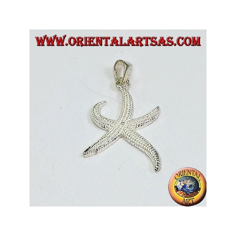Pendentif étoile de mer en argent (moyen)