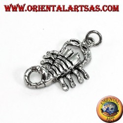 Pendant in silver scorpion medium