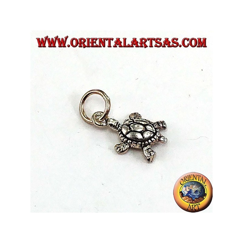 Pendentif en argent, petite tortue terrapine...