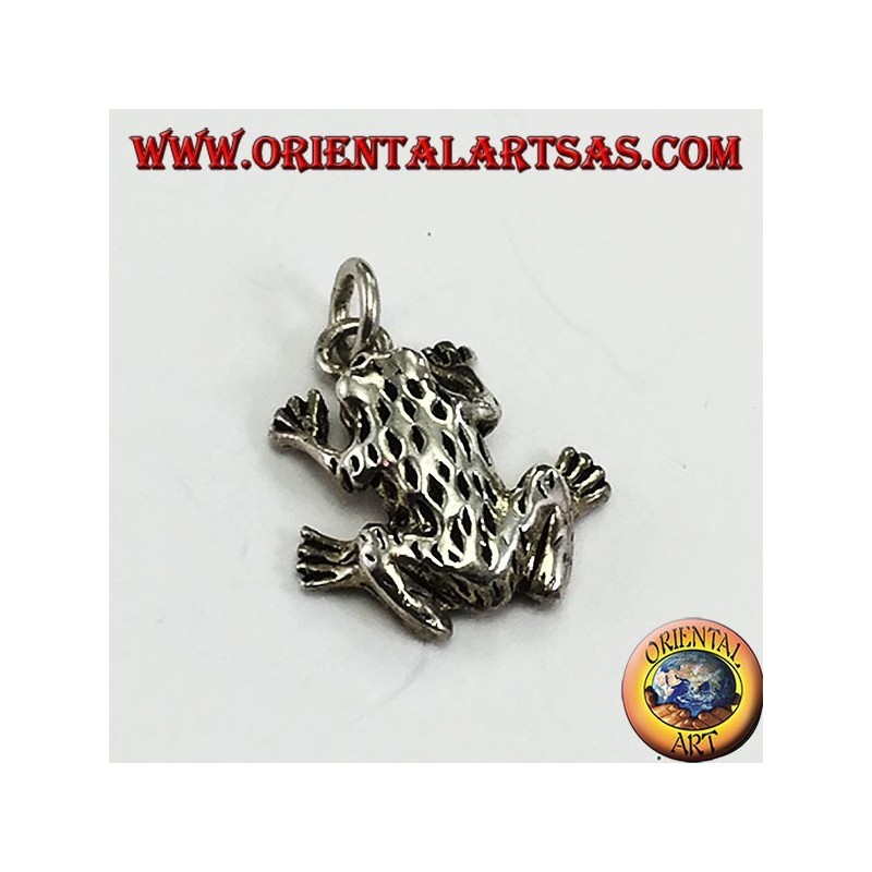 Pendentif en argent en trois dimensions grenouille anura
