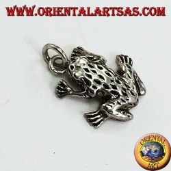 Colgante en plateado tridimensional rana anura