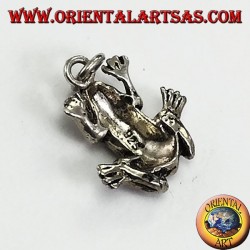 Pendentif en argent en trois dimensions grenouille anura