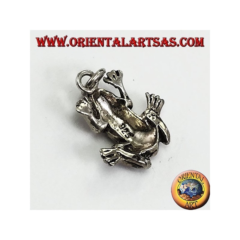 Pendentif en argent en trois dimensions grenouille anura