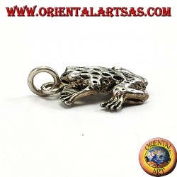 Colgante en plateado tridimensional rana anura