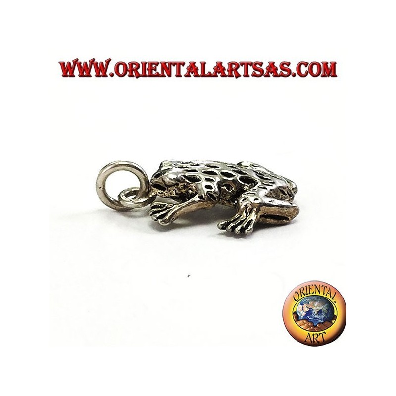 Pendentif en argent en trois dimensions grenouille anura