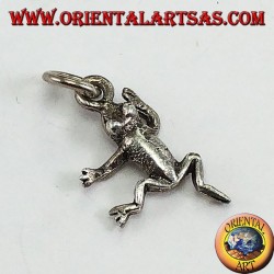 Colgante de plata en forma de rana