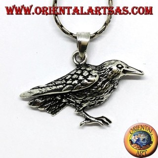 Pendant in silver crow bird sacred of Odin
