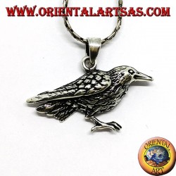 Pendant in silver crow bird sacred of Odin