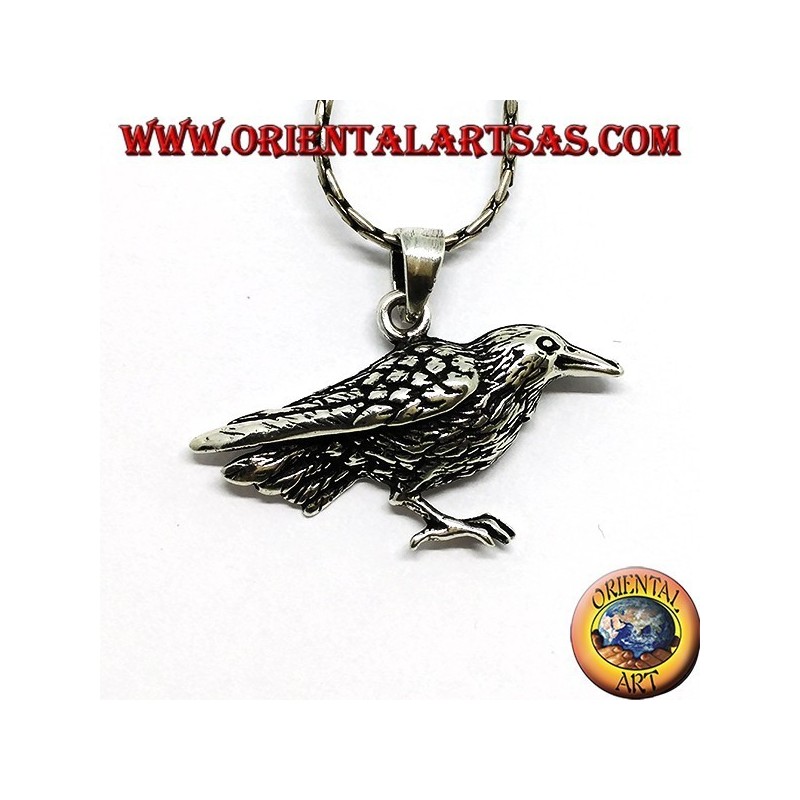Pendant in silver crow bird sacred of Odin