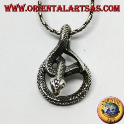 Pendentif en argent, serpent noué