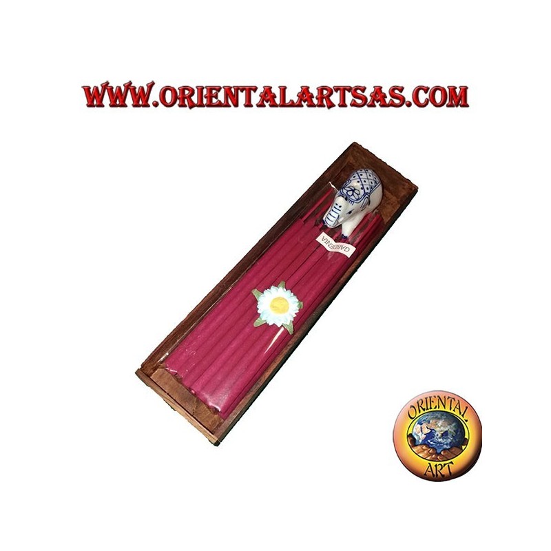 10 Incensi naturali con elefante brucia incensi in ceramica nel rettangolo