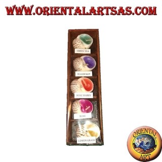 Juego de 5 velas aromáticas en la cáscara con varios sabores variados