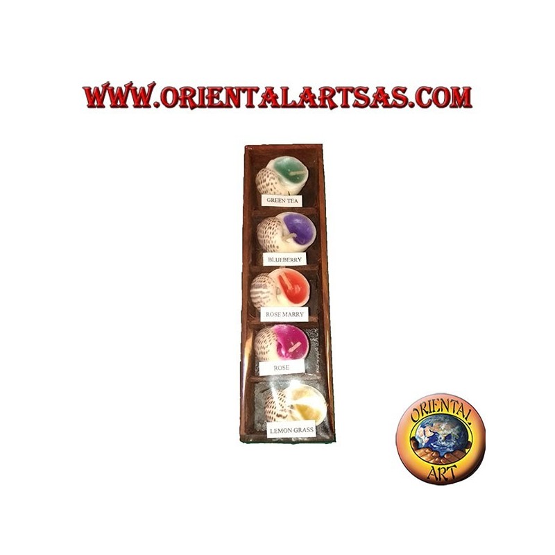 Set of 5 scented candles in the shell with various assorted flavors