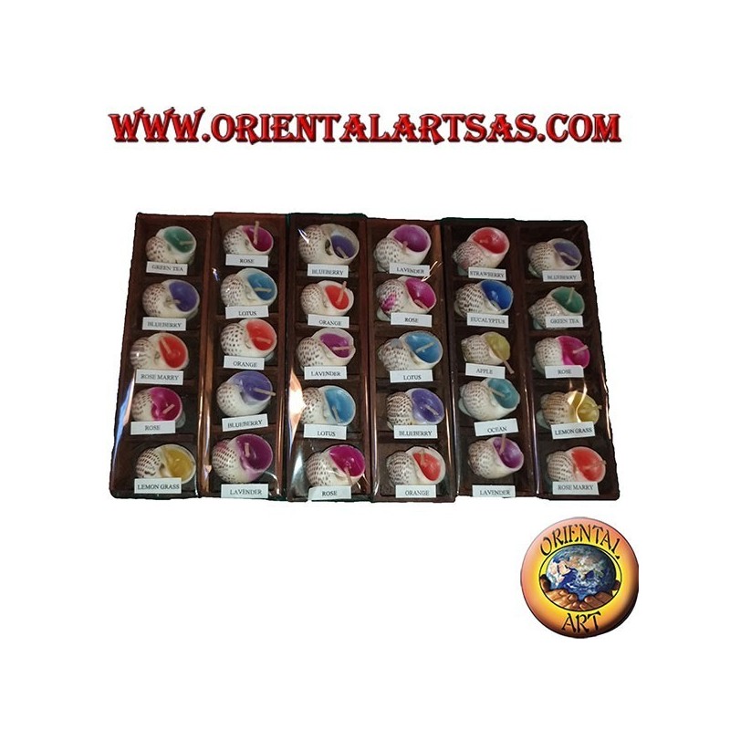 Set di 5 candeline profumate nella conchiglia ai vari gusti assortiti