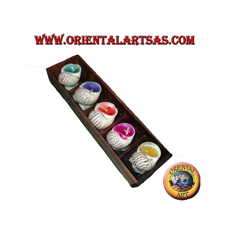 Juego de 5 velas aromáticas en la cáscara con varios sabores variados