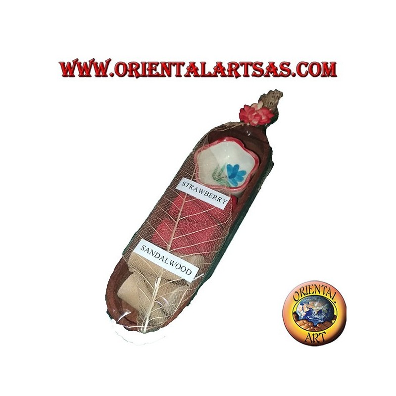 8 cônes d'encens bi-goût avec coupe brûle l'encens en céramique dans l'ovale