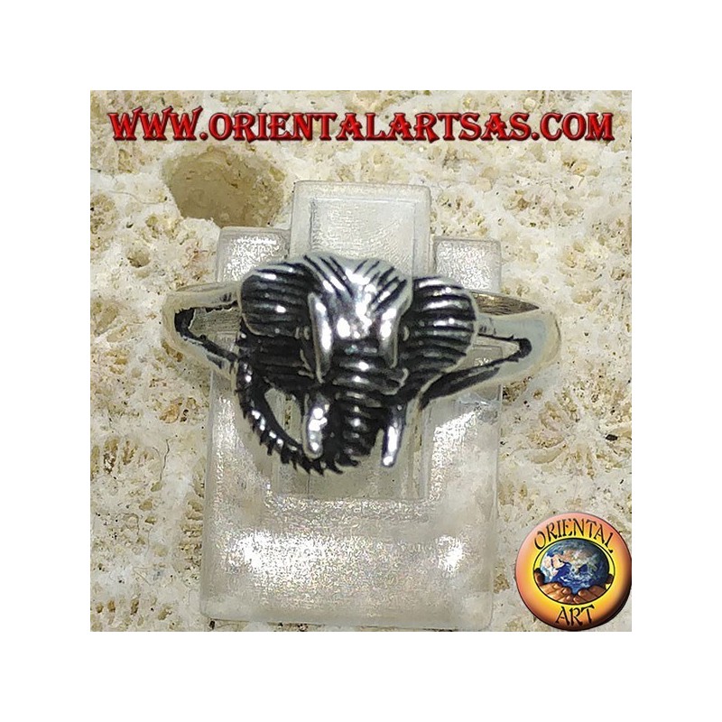 Anillo de plata con cabeza de elefante pachyderm.