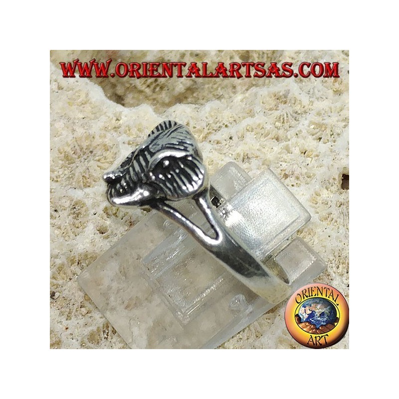 Anillo de plata con cabeza de elefante pachyderm.