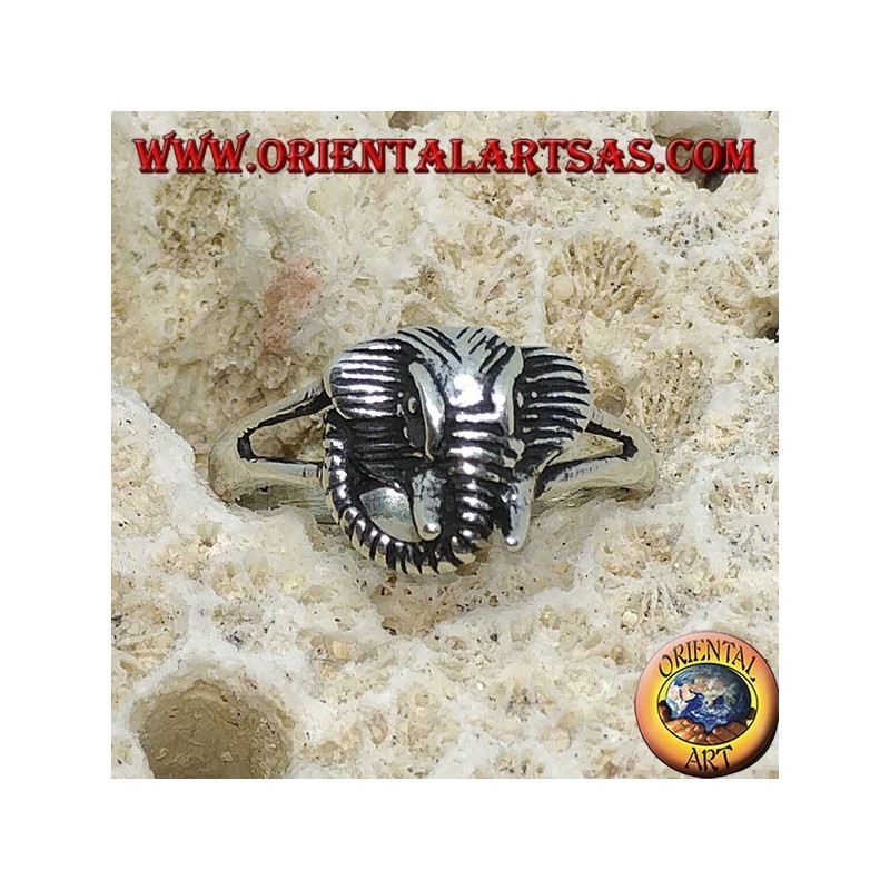 Anillo de plata con cabeza de elefante pachyderm.