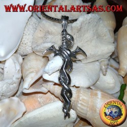 Pendentif en argent, épée avec serpent torsadé