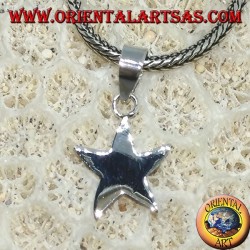 Colgante de plata simple en forma de una pequeña estrella.