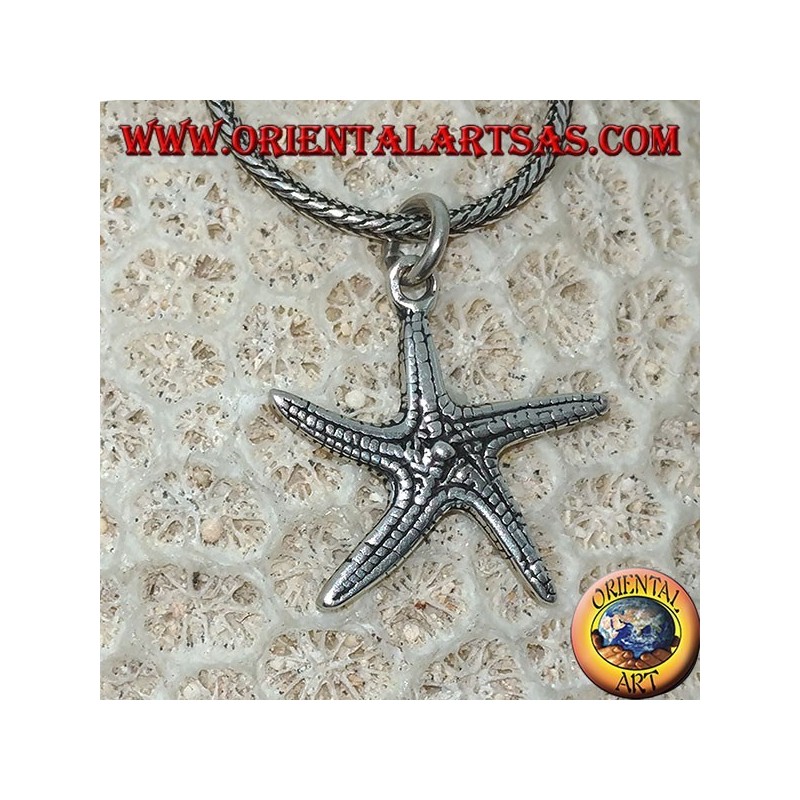 Colgante de plata con forma de estrella de mar de doble cara.